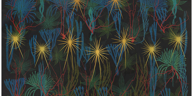 Historia Muscorum, 2011